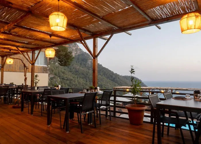 Tree Houses Hotel